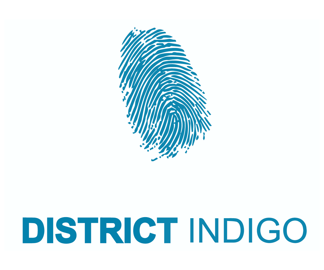 District Indigo