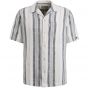 Shirt stripe struc Lily Pad CSIS2404273-6126