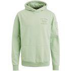 Hoodie PME LEGEND soft terry brushed quiet green